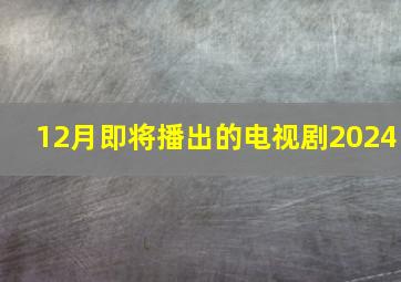 12月即将播出的电视剧2024