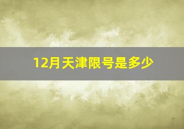 12月天津限号是多少