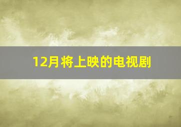 12月将上映的电视剧