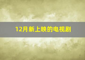 12月新上映的电视剧