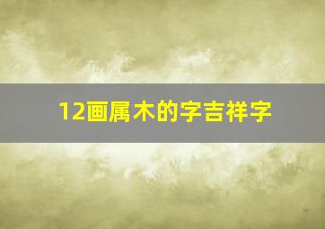 12画属木的字吉祥字