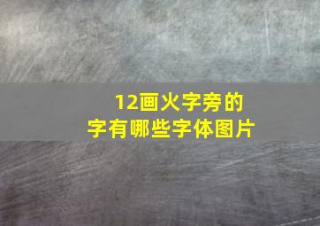 12画火字旁的字有哪些字体图片