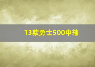 13款勇士500中轴