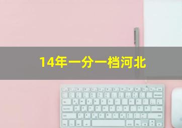 14年一分一档河北