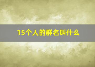 15个人的群名叫什么