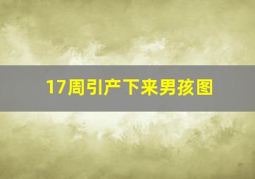 17周引产下来男孩图