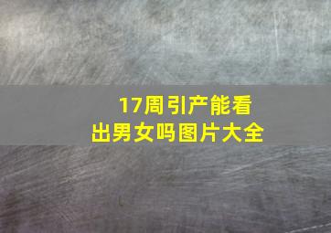 17周引产能看出男女吗图片大全