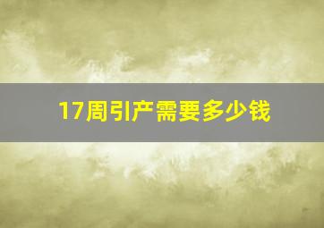 17周引产需要多少钱