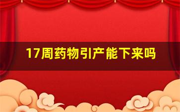 17周药物引产能下来吗