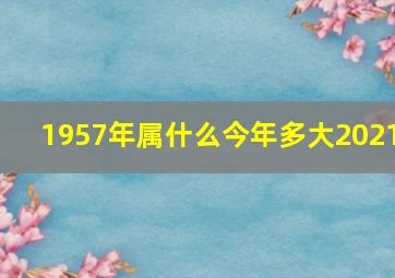 1957年属什么今年多大2021