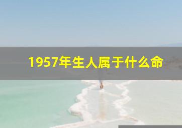 1957年生人属于什么命