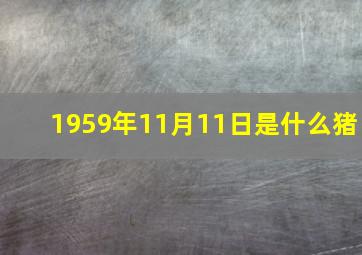 1959年11月11日是什么猪