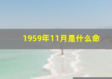 1959年11月是什么命