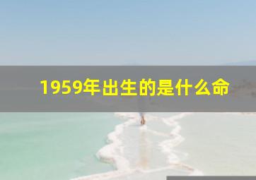 1959年出生的是什么命