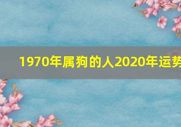 1970年属狗的人2020年运势