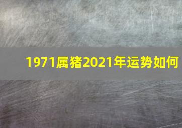 1971属猪2021年运势如何