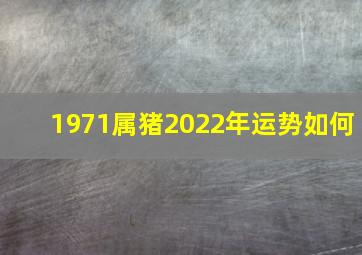 1971属猪2022年运势如何