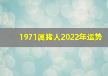 1971属猪人2022年运势