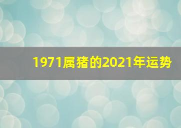 1971属猪的2021年运势