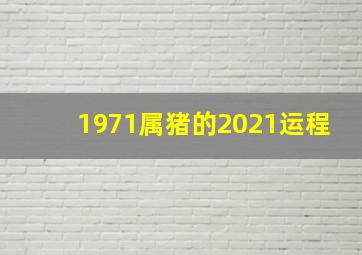 1971属猪的2021运程