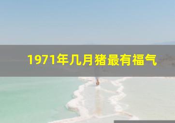 1971年几月猪最有福气