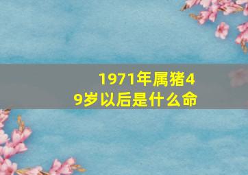 1971年属猪49岁以后是什么命