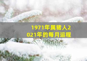 1971年属猪人2021年的每月运程