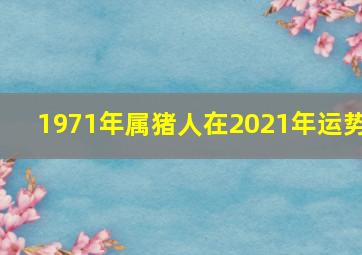 1971年属猪人在2021年运势