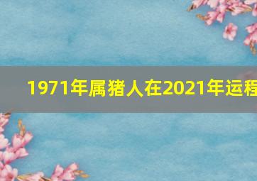 1971年属猪人在2021年运程