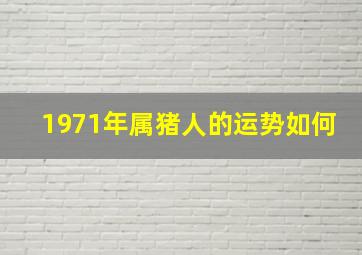 1971年属猪人的运势如何