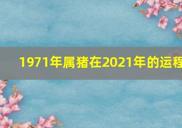 1971年属猪在2021年的运程