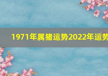 1971年属猪运势2022年运势