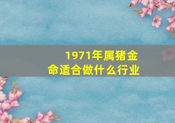 1971年属猪金命适合做什么行业