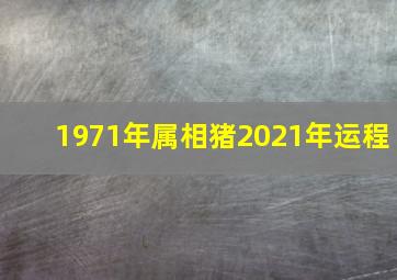 1971年属相猪2021年运程