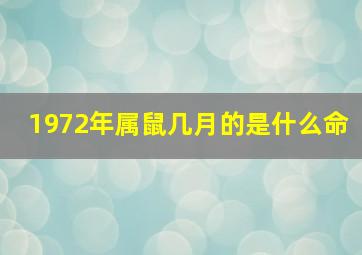 1972年属鼠几月的是什么命