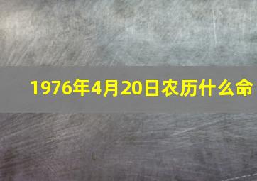 1976年4月20日农历什么命