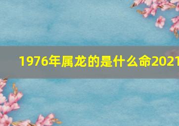 1976年属龙的是什么命2021