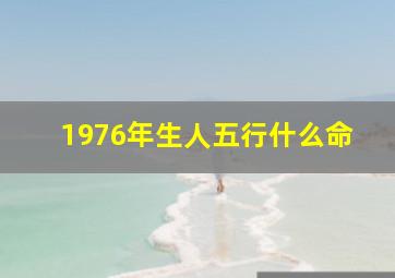 1976年生人五行什么命