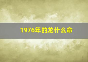 1976年的龙什么命