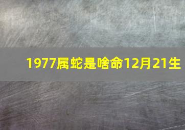 1977属蛇是啥命12月21生