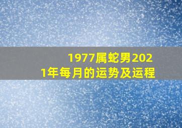 1977属蛇男2021年每月的运势及运程