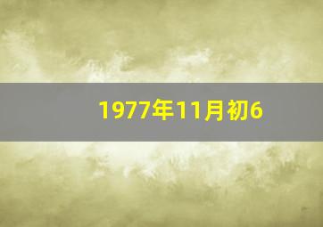 1977年11月初6