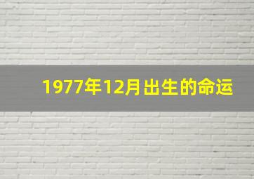 1977年12月出生的命运