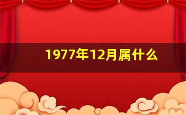 1977年12月属什么