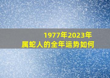 1977年2023年属蛇人的全年运势如何