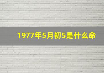 1977年5月初5是什么命