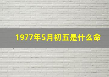 1977年5月初五是什么命