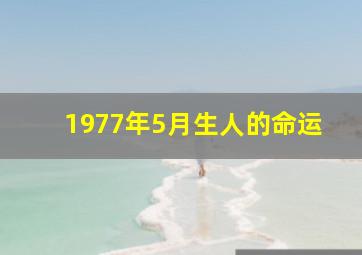 1977年5月生人的命运