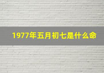 1977年五月初七是什么命