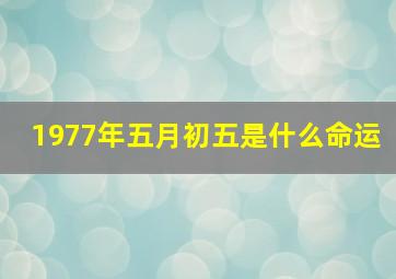 1977年五月初五是什么命运